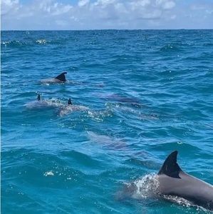 Meet your Posher, Mia